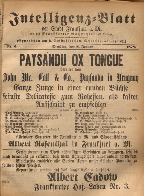 Zur Seitenansicht