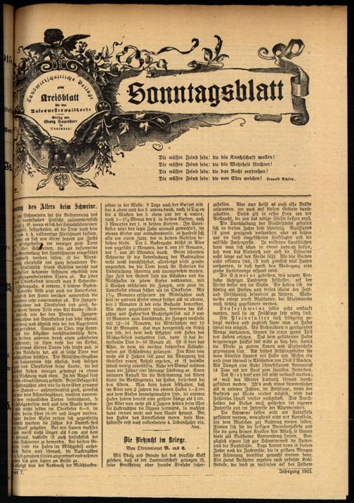 Zur Seitenansicht