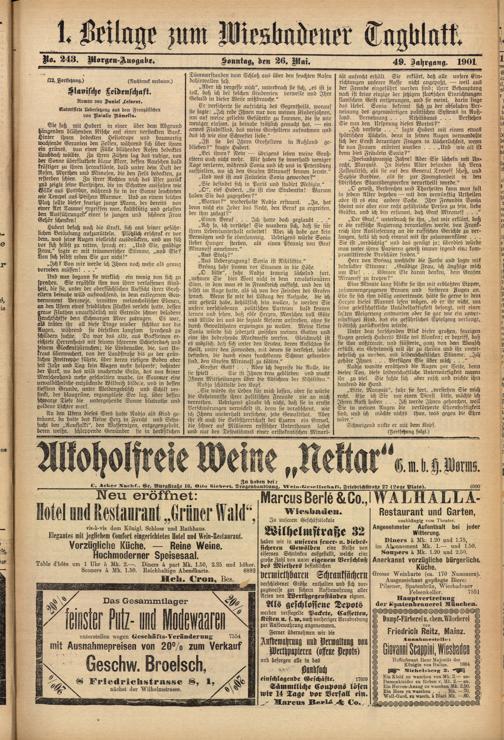 Zur Seitenansicht