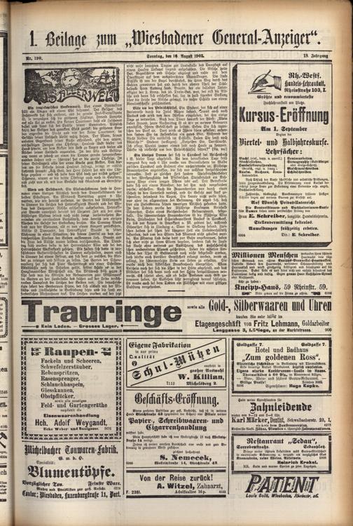 Zur Seitenansicht
